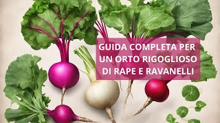 Coltivare rape e ravanelli i passi fondamentali per una raccolta abbondante [upl. by Ysdnyl]