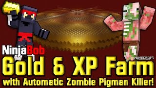 Huge Gold amp XP Farm  Nether Roof wAuto Zombie Pigmen Killer PS4PS3Xbox Console [upl. by Nivan110]