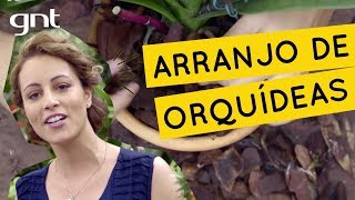 Como fazer um arranjo de orquídeas  Jardinagem  Carol Costa [upl. by Rod]