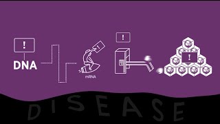 What is RNAi and How Do RNAibased Medicines Work [upl. by Thad]