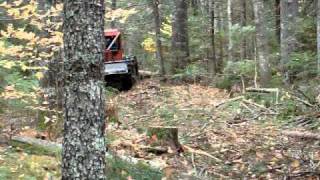 skidder logging [upl. by Turrell]