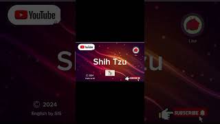 How to Pronounce Shih Tzu Dog Breed Correctly english pronunciationguide quiz learning [upl. by Xylina20]