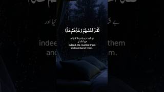 Heart Melting Recite♥️😭🥀😱👀🌼🌎beautifulrecite islamquran share likes subscribe shortsfeed [upl. by Akelahs]