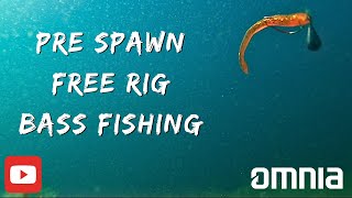 Free Rig bass fishing in the Pre Spawn  Incredible Underwater Footage [upl. by Phelgen]