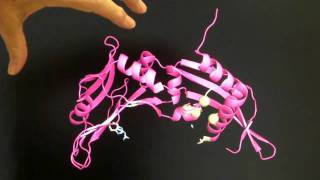 How Do Restriction Enzymes Interact With DNA [upl. by Clarice]