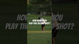 This State champion golfer shows us how its done [upl. by Maltzman]