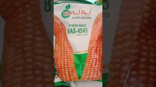 बजाज मक्का।बजाज की मक्का बीज।bajaj makka seeds।bajaj bas 4545।sorts agriculture [upl. by Lorrad265]