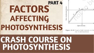 PhotosynthesisClass 11NCERTPart4Factors Affecting PhotosynthesisCrash CourseNEETAIIMSBiology [upl. by Aldas899]