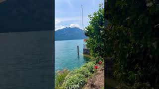 Beautiful Weggis Switzerland 🇨🇭 shorts travel beautiful switzerland shortvideo [upl. by Sherer]