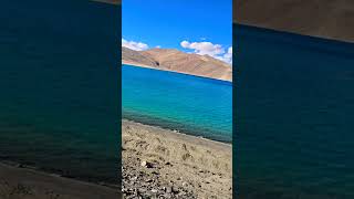 Beautiful Pangong lake in Leh Ladakh hindisong shortfeed nature travel trending [upl. by Chevy]