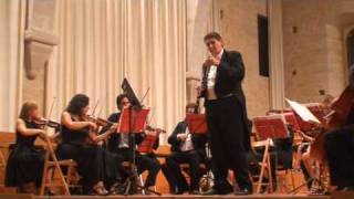 Mozart Concerto per Clarinetto primo tempo II°parte [upl. by Shel]