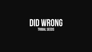 Tribal Seeds  Did Wrong OFFICIAL AUDIO [upl. by Naara]