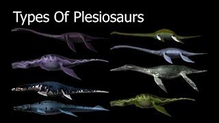 Types Of Plesiosaurs [upl. by Adi]