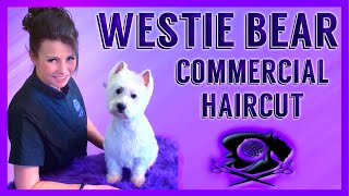 2020 Best Westie grooming how to easy to follow stepbystep tutorial [upl. by Imoin650]