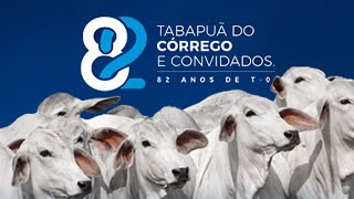 LEILÃO TABAPUÃ DO CÓRREGO E CONVIDADOS  82 ANOS DE TO [upl. by Lymn]