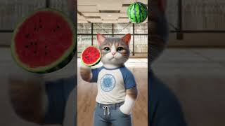 No reaction water melon trendingshorts cuteecats [upl. by Byrom]