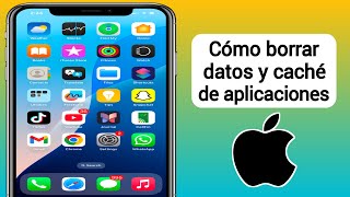 Cómo borrar los datos de las aplicaciones en iPhone  Cómo borrar la caché en iPhone [upl. by Onailerua]