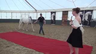 On the red carpet at Cavalia [upl. by Ruhl44]