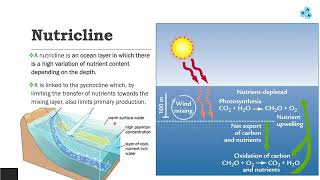 Ocean Stratification [upl. by Luann]