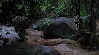 ACONTECEU AGORA NOTÍCIA DE ÚLTIMA HORA SEM EDIÇÃO O QUE ACONTECEU NO CÓRREGO COM A FORTE CHUVA [upl. by Cynar]