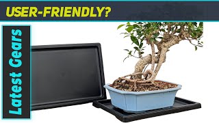 Tinyroots Bonsai Humidity Tray Enhance Plant Health with Superior Moisture Control [upl. by Georgetta655]