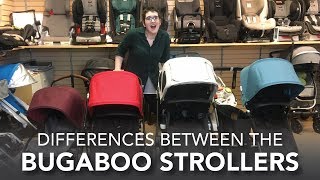 Differences Between the Bugaboo Strollers  Cameleon Donkey Buffalo Bee5  2017 Reviews [upl. by Aihsekel]