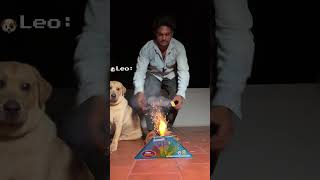 மயில் தோகை❌ மயில் பட்டாசு ✅🥰 oct shorts crackers reels peacock [upl. by Terrence487]