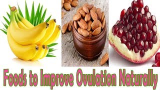 Foods for ovulation Stimulation  9 Foods to Improve Ovulation Naturally [upl. by Erialb]