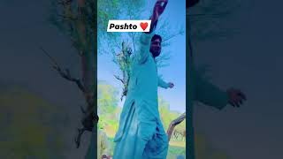 janan janan pashto song ❤️ [upl. by Choong]