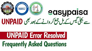 Paid Electricity Bill via EasyPaisa but Still Unpaid [upl. by Anos]