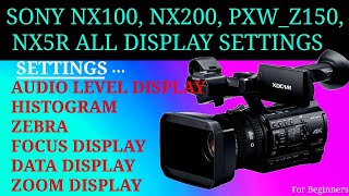 SONY NX200  NX100  PXW150  NX 5R DISPLAY SETTINGS  HISTOGRAM  ZEBRA  DATA  FOCUS SETTINGS [upl. by Eenhat760]