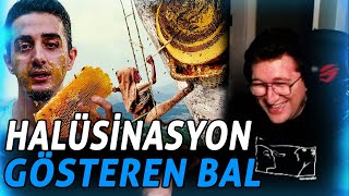 EFE UYGAÇ RUHİ ÇENET NEPALİN HALÜSİNASYON GÖSTEREN DELİ BALI DELİRMEK İÇİN TIRMANIYORLAR İZLİYOR [upl. by Onivla776]