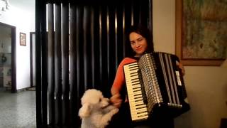 Speranze Perdute waltz Accordion [upl. by Ilujna]