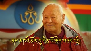 Origin of Tibetan Script and Shangchung ཆོས་རྒྱལ་ནམ་མཁའི་ནོར་བུ་རིན་པོ་ཆེ་ལ་དམིགས་བསལ་བཅར་འདྲི། [upl. by Nibroc]