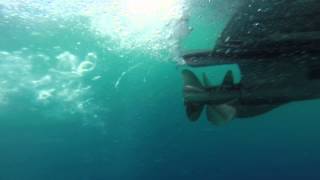 Regal 2250  Volvo Penta 57 GXi Start up under water view GoPro [upl. by Idel]