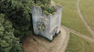 Newbridge House Demesne Drone Footage  Ireland [upl. by Jarred]