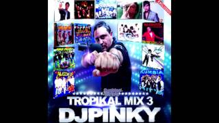 Dj Pinky Mix Tropikal 3 AudioMix SbDjChipyMix [upl. by Sisenej]