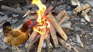 Chicken Kebab in Village  FOOD ROOM [upl. by Seebeck643]