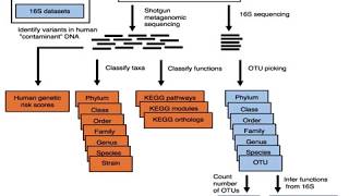 Metagenomics Analysis and AssemblyBased Metagenomics [upl. by Croydon]