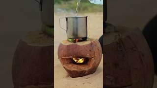 How to make coconut cookers satisfying cooking dyi creative survivaljungletrap kitchenhack [upl. by Aimik158]