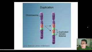 Chromosomal Mutations [upl. by Feldman]