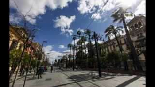 HOTEL ALFONSO XIII  SAN TELMO SEVILLA playerbcn1 [upl. by Cynth]