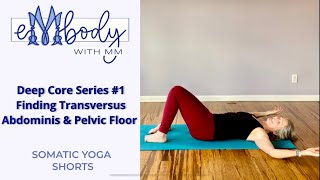 Four Deep Core 1 Transversus Abdominis and Pelvic Floor [upl. by Rhoda]