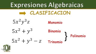 Clasificación de las Expresiones Algebraicas [upl. by Ezarra]