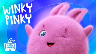 🔴 LIVE SUNNY BUNNIES TV  Winky Pinky  Cartoons for Children [upl. by Enaira482]