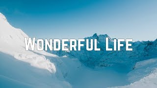 Zendaya  Wonderful Life Lyrics [upl. by Ahsian]