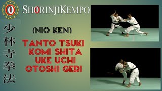 TANTO TSUKI KOMI SHITA UKE UCHI OTOSHI GERI [upl. by Ravaj]