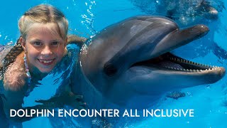 Dolphin Encounter All Inclusive  Shore Excursion  NCL [upl. by Thorlie]