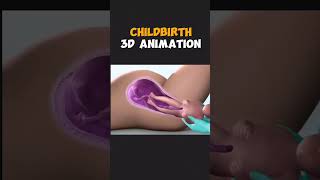 Childbirth 3D animation nursing nursingofficer nursingstudent cannula gallbladder [upl. by Enak]