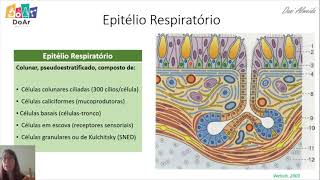 Divisão do sistema respiratório [upl. by Raven355]